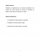 Desarrollo Trabajo Final Criminalistica