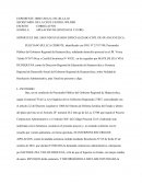 SEÑOR JUEZ DEL SEGUNDO JUZGADO ESPECIALIZADO CIVIL DE HUANCAVELICA.