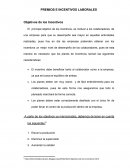 PREMIOS E INCENTIVOS LABORALES