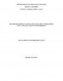 DPN (DEPARTAMENTO NACIONAL DE PLANEACION) UN ORGANISMO QUE VA MAS ALLA DEL PLAN DE GOBIERNO