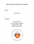 Comportamiento consumidor. EMPRESA: adidas-Group Perú