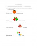 Como es que se esta Evaluando conocimientos