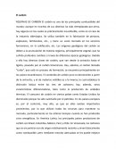 El carbón y la petroquimica
