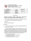 Aplicación de Analogías Sinécticas, Método CoRT, y Razonamiento Heurístico. Lean las Guías para poder responder adecuadamente
