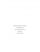 Proyecto de titulo semana 2 la esfera laboral