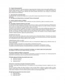 Apuntes Sistemas de Representación 2do parcial