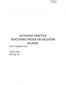 Actividad práctica Reacciones Redox en solución acuosa