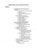 FORMULACION Y EVALUACION DE PROYECTOS TEMARIO