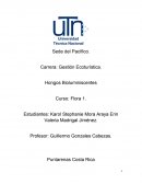 Hongos Bioluminiscentes Curso: Flora 1