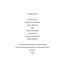 TRABAJO UNIDAD 1 DE ECOLOGIA HUMANA