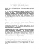 PREPARACIÓN DE SESIÓN - SECTOR SEGUROS