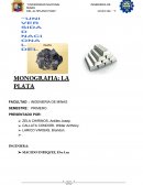 MONOGRAFIA: LA PLATA