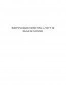 RECUPERACION DE FIERRO TOTAL, A PARTIR DE RELAVE DE FLOTACION