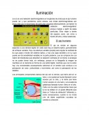 Iluminación La luz es una radiación electromagnética