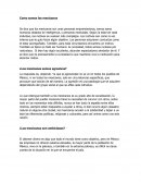 Como somos los mexicanos. ¿Los mexicanos somos agresivos?