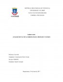 ANÁLISIS SINTÁCTICO, MORFOLÓGICO, PREFIJOS Y SUFIJOS