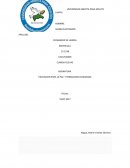 EDUCACION PARA LA PAZ Y FORMACION CUIDADANA