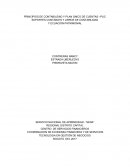 PRINCIPIOS DE CONTABILIDAD Y PLAN ÚNICO DE CUENTAS –PUC SOPORTES CONTABLES Y LIBROS DE CONTABILIDAD Y ECUACIÓN PATRIMONIAL