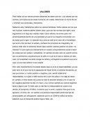 VALORES son las normas y principios de los seres humanos