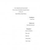 Subproyecto: Desarrollo Gerencial