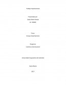 Ensayo Importaciones