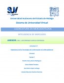 Importancia de las Tecnologías de la Información en la Mercadotecnia
