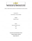 Tutoría 3. Capítulo 8 Ética y trato justo en la administración de recursos humanos