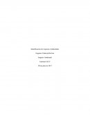 MATRIZ DE IDENTIFICACIÓN Y EVALUACIÓN DE ASPECTOS AMBIENTALES