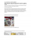 AUDITORIA DE LA GESTION COMERCIAL