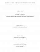 EL MUNDO DE LOS NIÑOS COMO LO DESCUBRIMOS