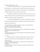 EL MEDIO AMBIENTE DEL FUTURO