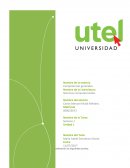 Sistemas computacionales ¿Cómo te describirías a ti mismo?