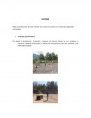 INFORME Para la construcción de una vivienda de un piso