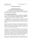 PROCESOS COGNITIVOS BASICOS GENERALES