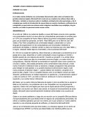 Ensayo mentes brillantes