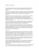 Ventajas desventajas pet coke