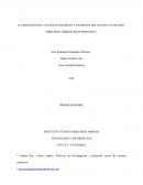 ILUMINACIÓN DE LAS ZONAS INTERNAS Y EXTERNAS DEL INSTITUTO TÉCNICO MERCEDES ABREGO SEDE PRINCIPAL