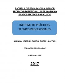 INFORME PARCIAL Y/O FINAL DE PRÁCTICAS TÉCNICO -PROFESIONALES. Página 1