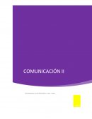 ORIGEN Y EVOLUCION DEL CASTELLANO MORFOLOGIA Y SINTAXIS DE LA LENGUA ESPAÑOLA