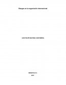 Riesgos en la Negociacion Internacional