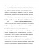 TAREA CASO REMOLQUES CARADÚ