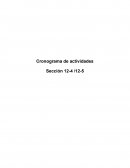 Cronograma de actividades Sección 12-4 /12-5