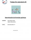 DETERMINACION DE FORMULAS QUIMICAS