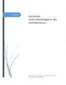 La composta es uno de los abonos orgánicos que se elabora con algunos de los materiales en descomposición y también por la degradación de microorganismos en materiales de desecho