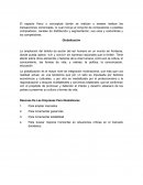 Razones De Las Empresas Para Globalizarse