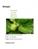 Informe cientifico sobre el Noni