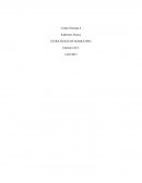 Control Semana 6 ESTRATEGIAS DE MARKETING