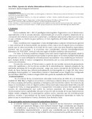 Ana Wilde: Apuntes de cátedra: Materialismo Histórico (síntesis libre sólo para el uso interno del seminario: Epistemología de la Historia)