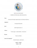 Funciones del Psicólogo Organizacional en una Institución Educativa