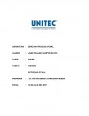 Derecho procesal Penal ¿QUÉ DELITOS CONSIDERAN QUE EN LOS HECHOS SE PUEDEN ACTUALIZAR?